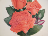 AMERICAN ROSE SOCIETY PORCELAIN COLLECTOR PLATE - MARINA ROSE 1981